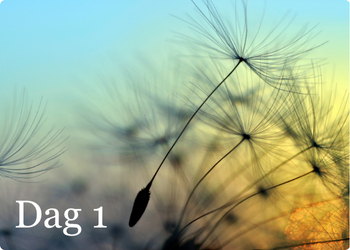 Kennis en inzicht sessie