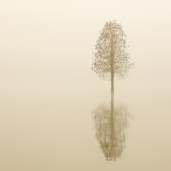 Wat blijft, wanneer het jaar stilvalt?