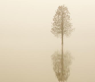 Wat blijft, wanneer het jaar stilvalt?