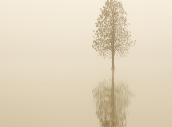 Wat blijft, wanneer het jaar stilvalt?