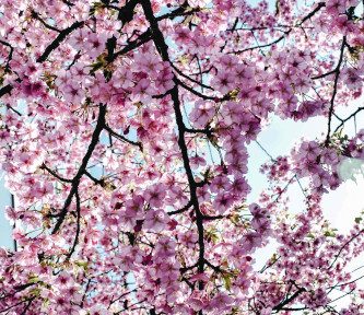 De tussenruimte voor Pasen